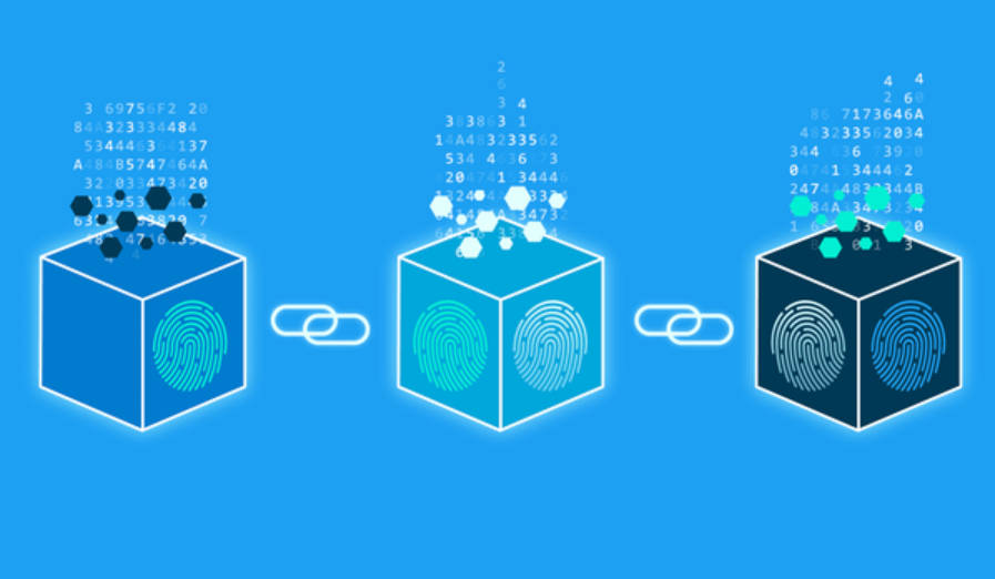 Blockchain Education Resources