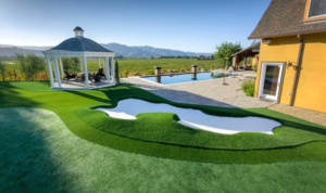Pet Friendly Artificial Grass Installation in Malibu: Safe, Clean, and Durable Solutions