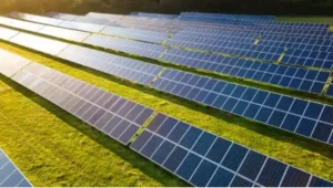 Sun-Powered Agriculture: How Solar Technology Is Making Farms More Sustainable